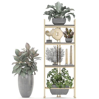 Decorative set. 4. Shelf with flowers, gold, coral, Ficus, pot, Rack, decor, Schefflera, luxury, ficus abidjan — Ver 3