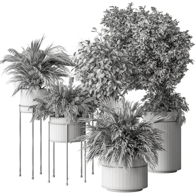 indoor Plant 442 - Tree and Bush — Вид 5