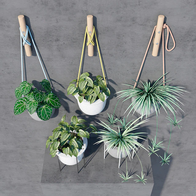 plant set — Descargar