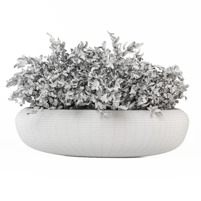 Indoor Plants Collection 1900 — View 2