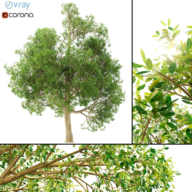 3D model of a tree No. 1 — Descargar