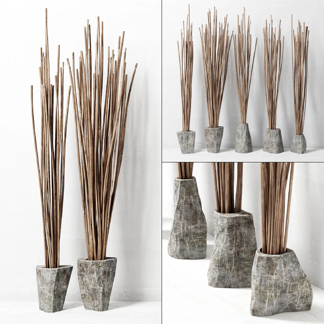 Branches in vase decor / Decor of branches in vases — Descargar