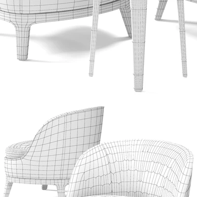 FLEXFORM Dragonfly Armchair 03 — Ver 3