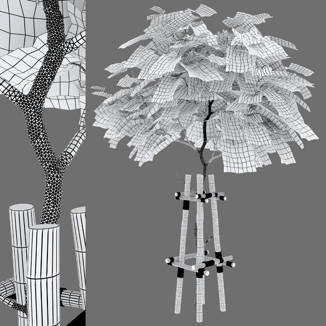 catalpa tree — Descargar