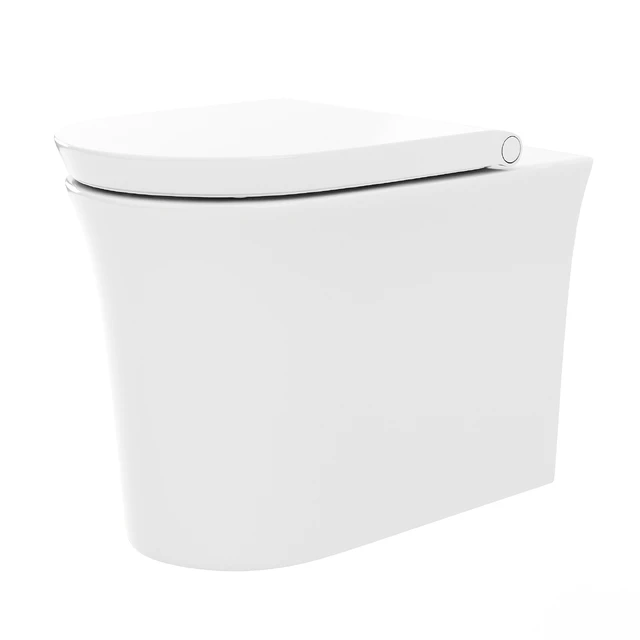 Duravit White Tulip Floor  Duravit Rimless #200109 — Descargar