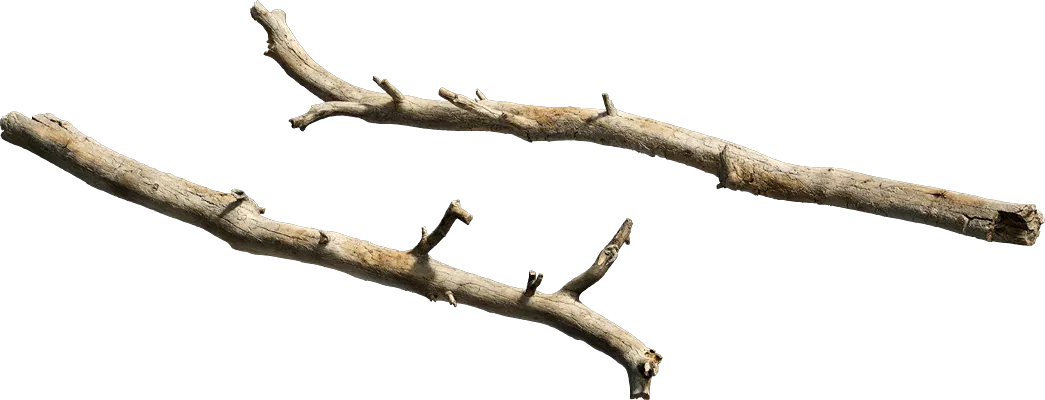 old tree branch 002 — Скачать