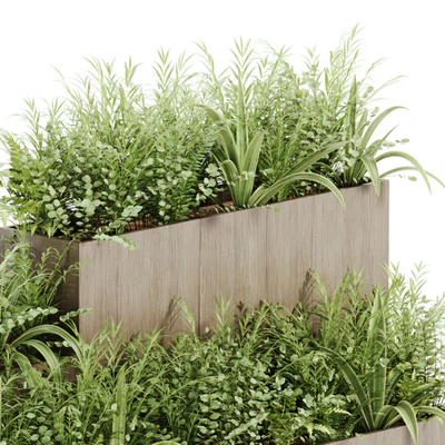 indoor plant Set 21 — Вид 4