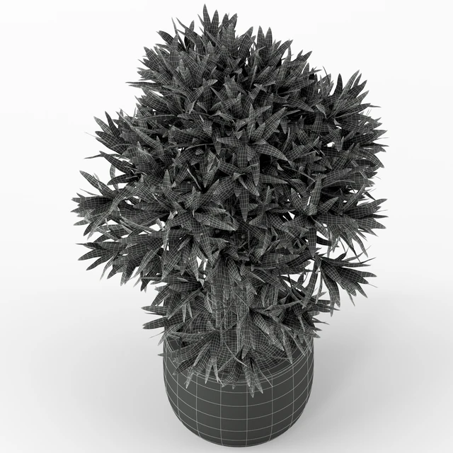 Plants collection 224 — Descargar