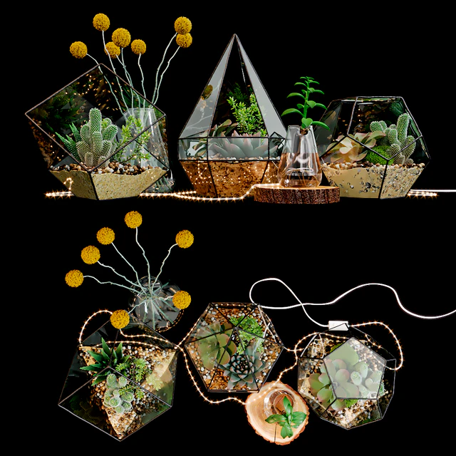 Set of florariums — Descargar