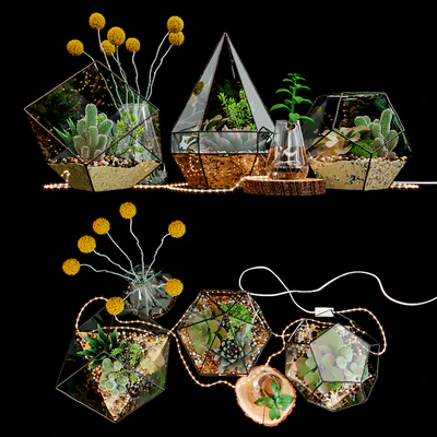 Set of florariums — Ver 1