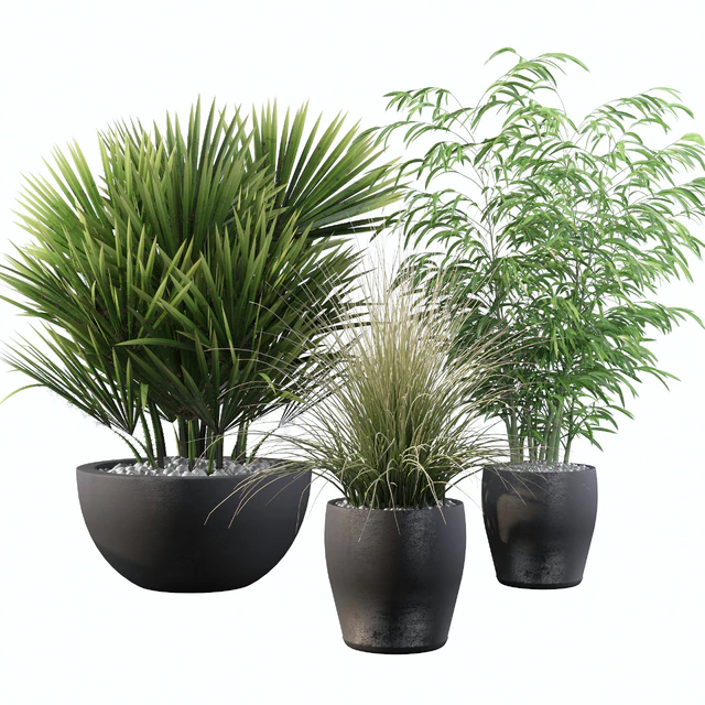 Plants collection 080 — Скачать