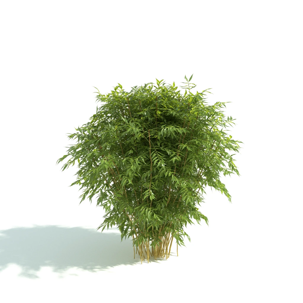 hedges 044 — Скачать