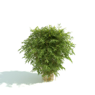 hedges 044 — Скачать