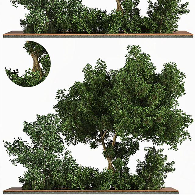 Garden set Grass   &   Tree — Descargar