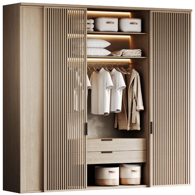 Wardrobe with filling-1 — Descargar