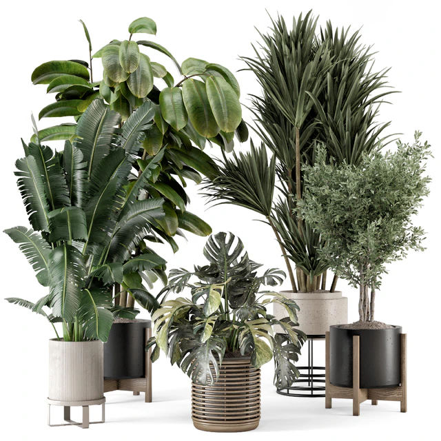 Indoor Plants in Ferm Living Bau Pot Large - Set 1328 — Descargar