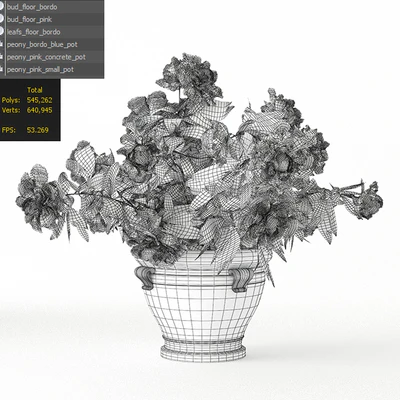 Peony Garden — Ver 2