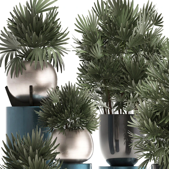 Plant collection 299. Interior palm tree, rapis, pot, flowerpot, luxury pot, bushes, thickets, Raphis Palm, stylish plants — Descargar
