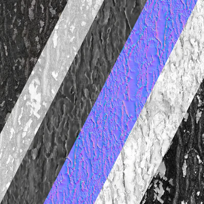 Birch bark — Ver 4