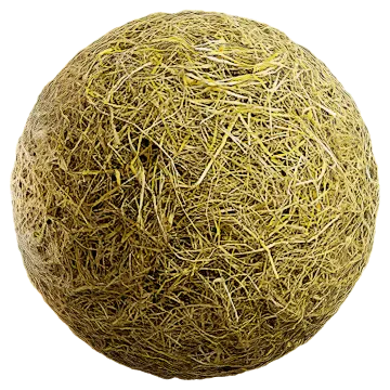 grass dried 066 — Скачать