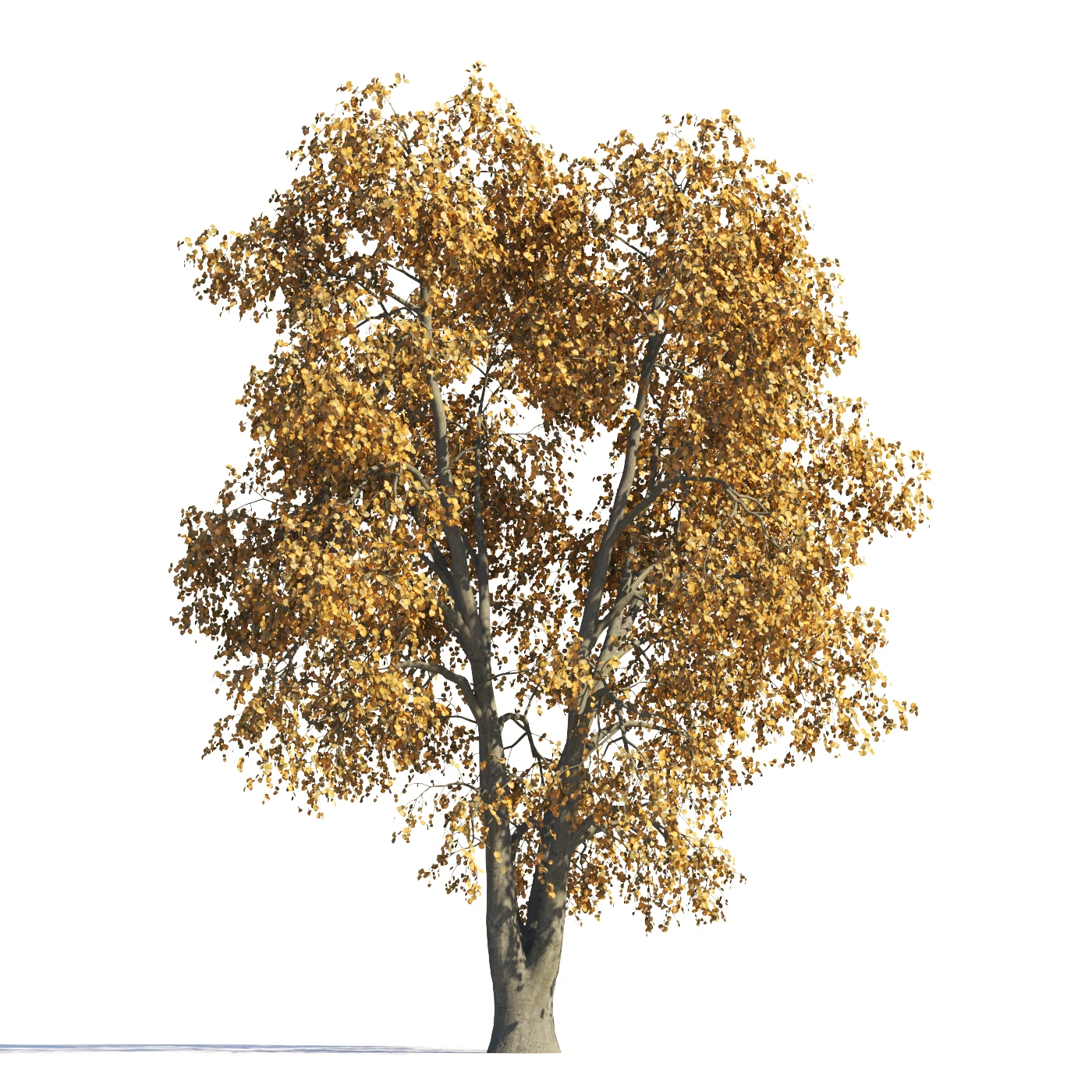 029 autumn — Скачать