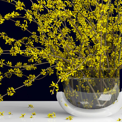 Форзиция/Forsythia — Вид 2