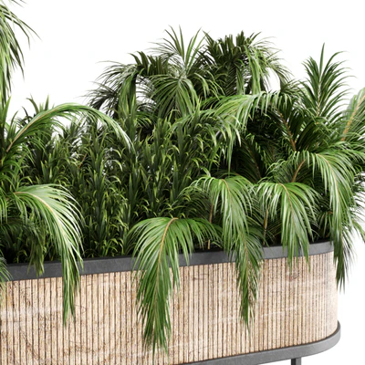 collection Indoor plant palm 40-bax wood vase — Вид 4