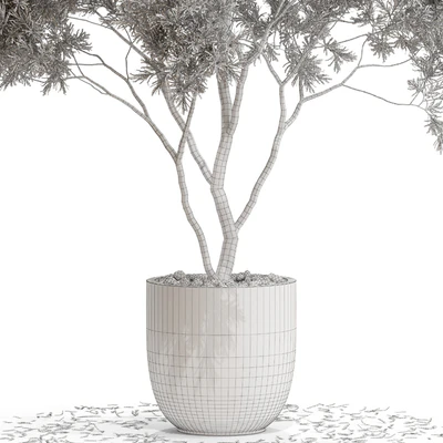 Plants collection 670 — Ver 3