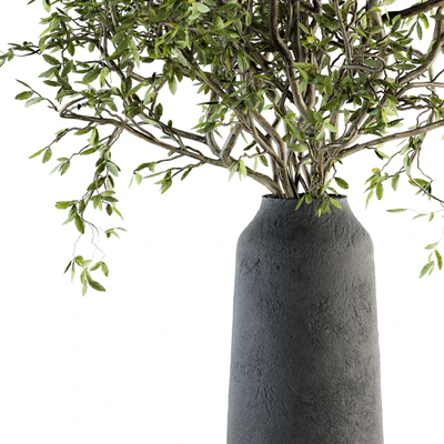 Bouquet - Green Branch in vase 40 — Ver 4