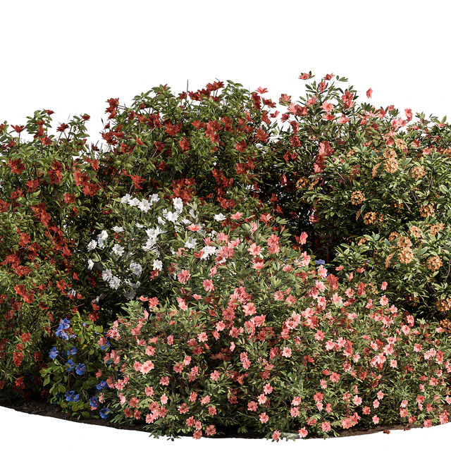Garden colorful Flower Bush - Set 452 — Descargar