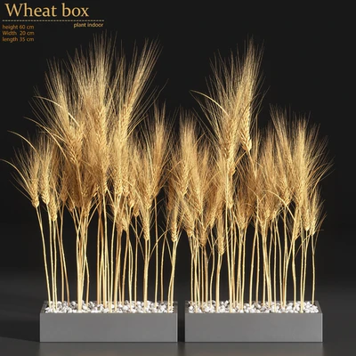 Wheat Box — Вид 1
