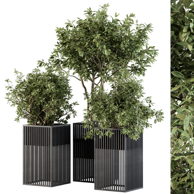 Outdoor Plant Set 276 - Plant Set in Metal Pot — Скачать