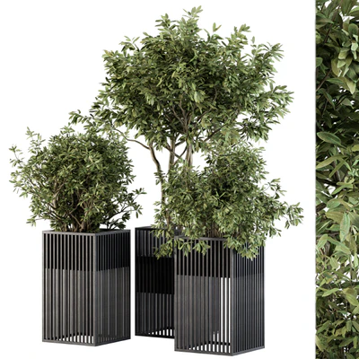 Outdoor Plant Set 276 - Plant Set in Metal Pot — Вид 1