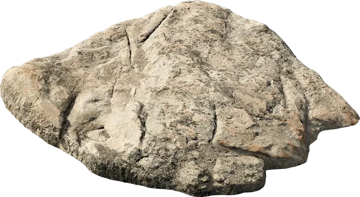 forest rock shelf 001 — Descargar