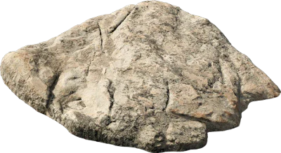 forest rock shelf 001 — Descargar