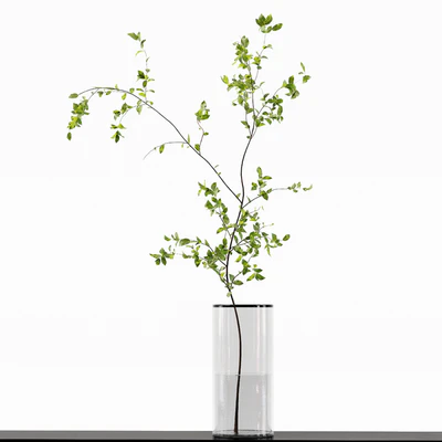 Collection Indoor Plants 015 — Ver 4