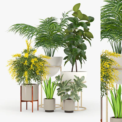 Plant Set 01 — Descargar