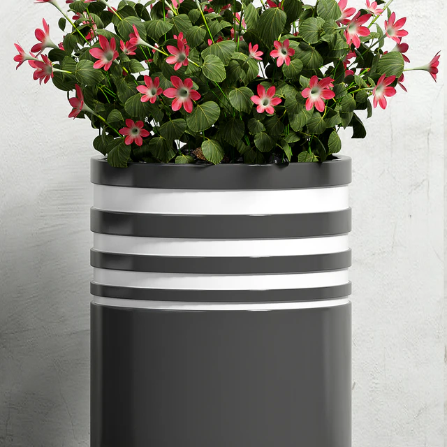 PLANT -52 — Descargar