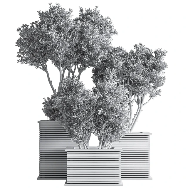 Outdoor Plants tree 22 — Descargar