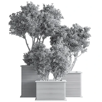 Outdoor Plants tree 22 — Ver 3