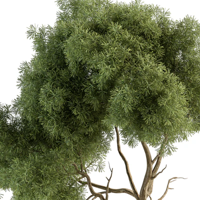 Garden Set Tree and Plants - Outdoor Plants Set 399 — Ver 2