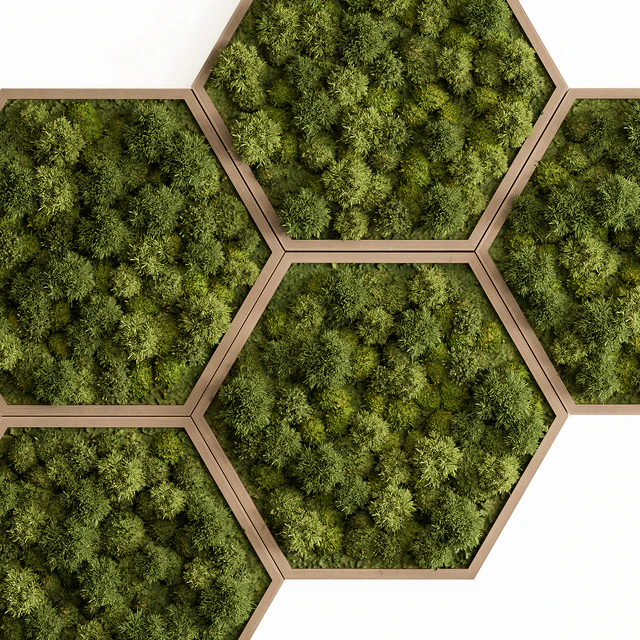 Hexagon Green Wall Panel - Set 79 — Descargar