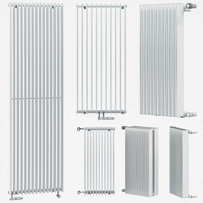 Zehnder Excelsior — Вид 2