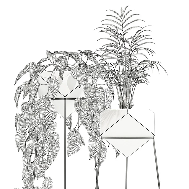 Plants collection 140 Jade — Descargar