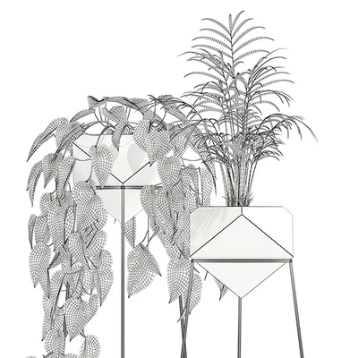 Plants collection 140 Jade — Ver 2