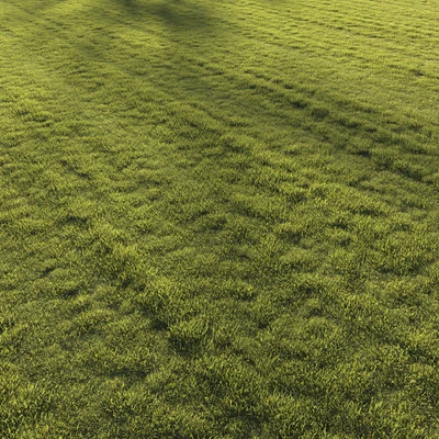 Lawn grass №2 — Ver 3