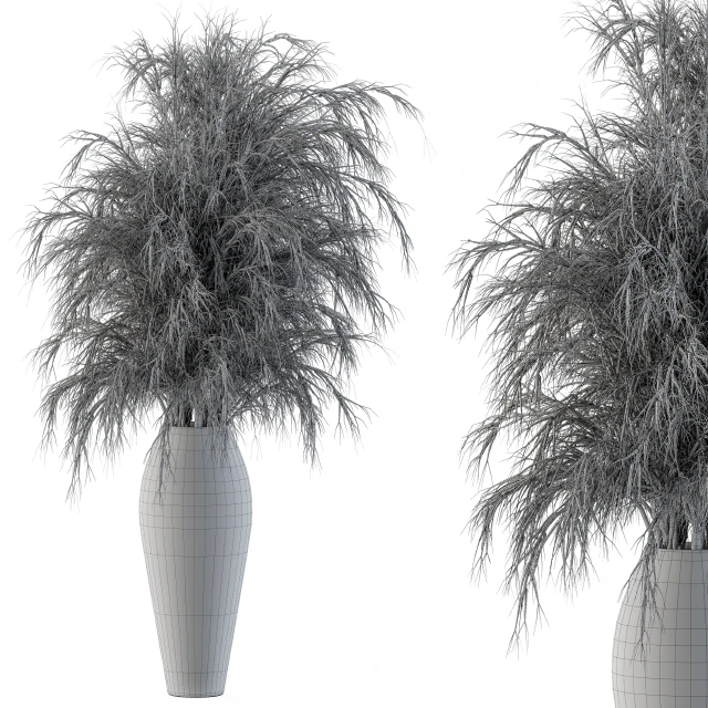 Dry Plants — Скачать
