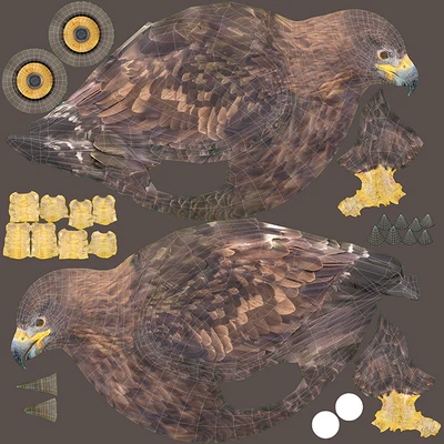 Golden eagle — Ver 3