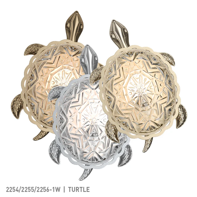 Favorite turtle — Descargar