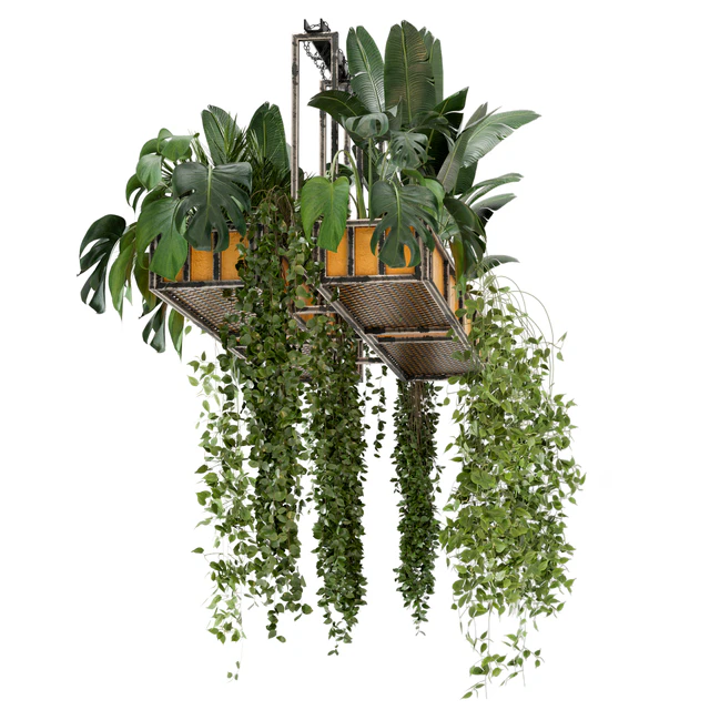 Indoor Hanging Plants in Metal Box - Set 146 — Descargar